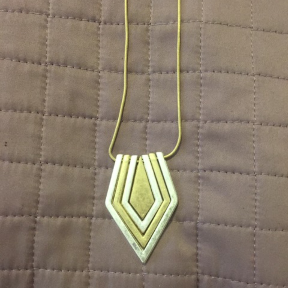 Silver and Gold Colored Long Necklace